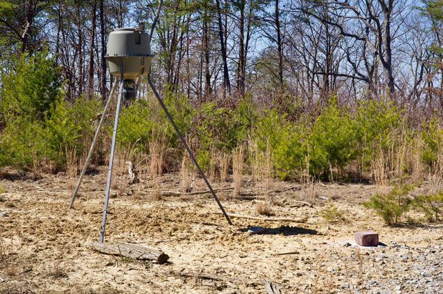 0 Simmons Road, Pikeville, TN 37367