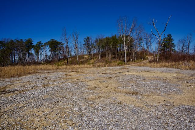 0 Simmons Road, Pikeville, TN 37367