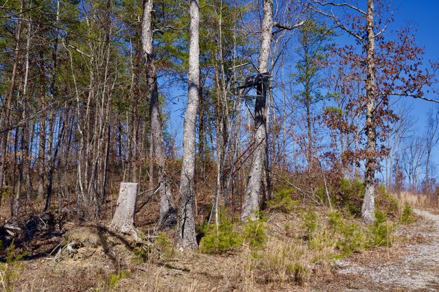 0 Simmons Road, Pikeville, TN 37367