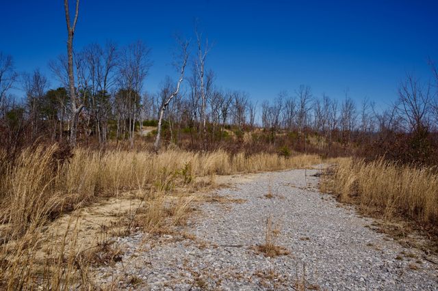 0 Simmons Road, Pikeville, TN 37367