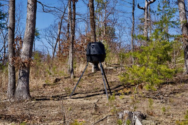 0 Simmons Road, Pikeville, TN 37367