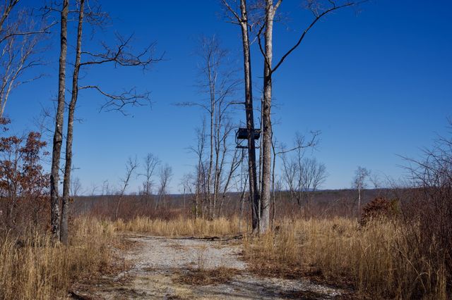 0 Simmons Road, Pikeville, TN 37367