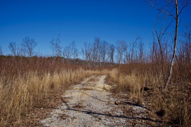 0 Simmons Road, Pikeville, TN 37367