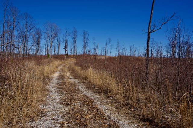 0 Simmons Road, Pikeville, TN 37367