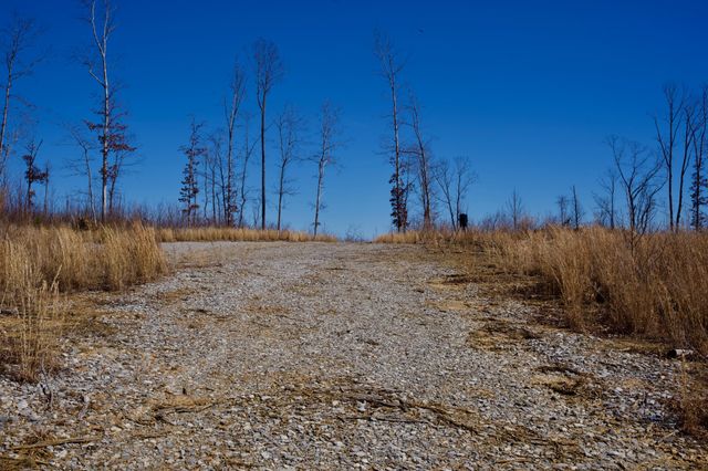 0 Simmons Road, Pikeville, TN 37367