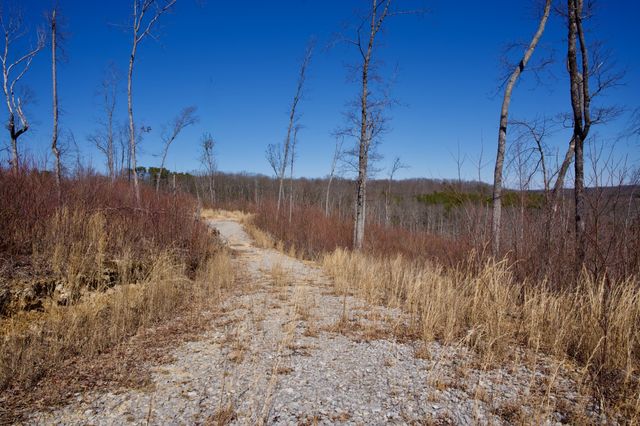 0 Simmons Road, Pikeville, TN 37367