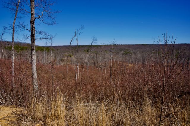 0 Simmons Road, Pikeville, TN 37367