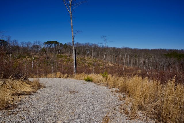 0 Simmons Road, Pikeville, TN 37367