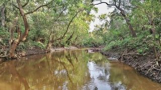 2698 County Road 284, Edna, TX 77957