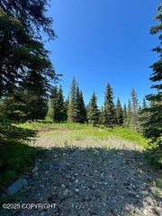 34718 North Fork Road, Anchor Point, AK 99556