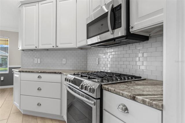 589 SHERWOOD STREET, The Villages, FL 32162