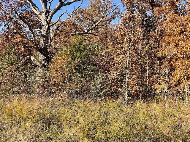 TBD Forfar Drive, Bella Vista, AR 72715