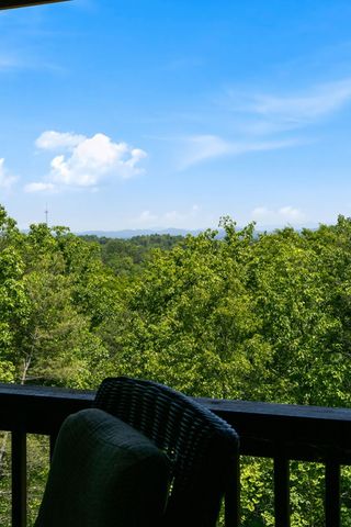 161 Huntington Way, Blue Ridge, GA 30513