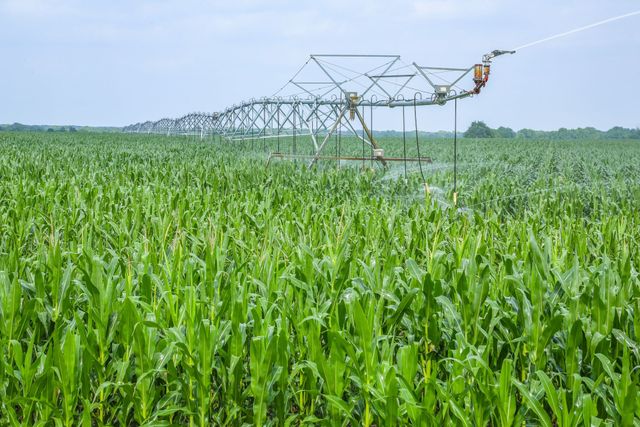 300 PR 14030, Blossom, TX 75416