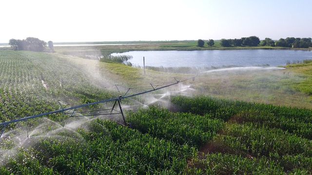 300 PR 14030, Blossom, TX 75416