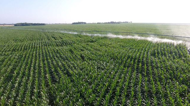 300 PR 14030, Blossom, TX 75416