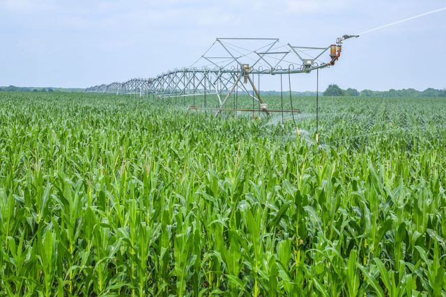 300 PR 14030, Blossom, TX 75416