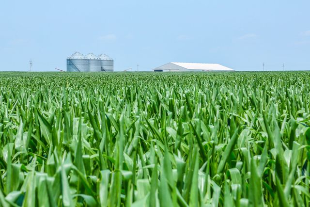 300 PR 14030, Blossom, TX 75416