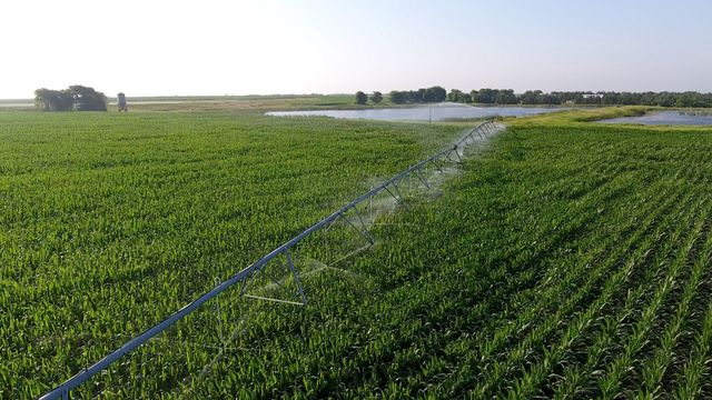 300 PR 14030, Blossom, TX 75416