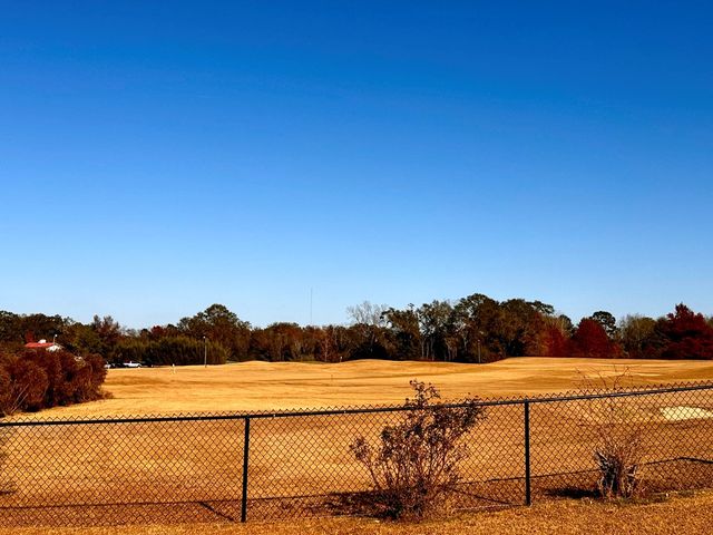 112 Cannondale Cir, Cowarts, AL 36321