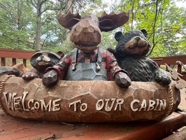 264 Oak Ridge Road, Branson, MO 65616