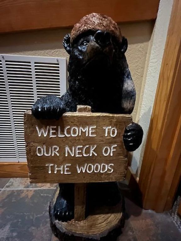 264 Oak Ridge Road, Branson, MO 65616