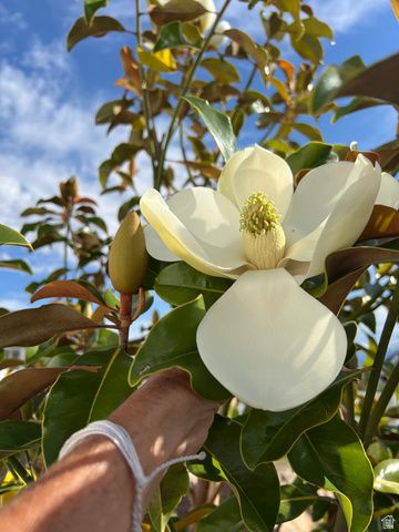 2837 S GREENHEAD DR, Saratoga Springs, UT 84045