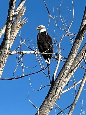 2837 S GREENHEAD DR, Saratoga Springs, UT 84045