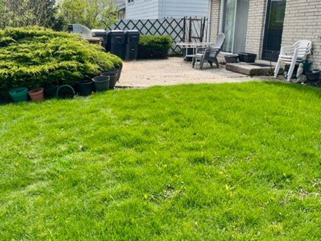 16821 S Clyde Avenue, South Holland, IL 60473