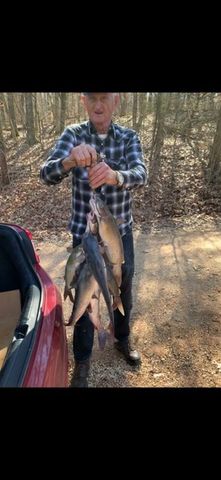 1118 Carrollville Landing Rd, Clifton, TN 38425