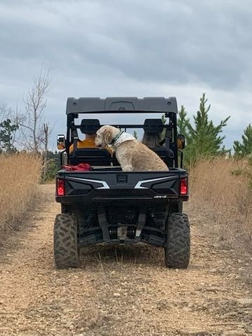 1118 Carrollville Landing Rd, Clifton, TN 38425