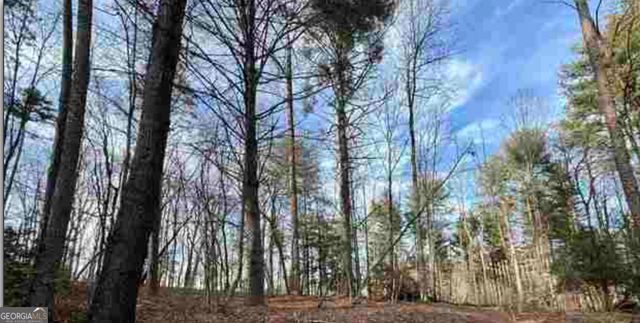 0 Dean Mountain Road, Cleveland, GA 30528