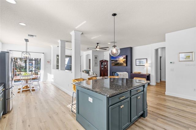 15814 STARLING WATER DRIVE, Lithia, FL 33547