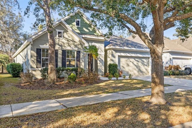 15814 STARLING WATER DRIVE, Lithia, FL 33547