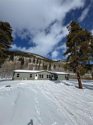 3299 Highway 91, Leadville, CO 80461