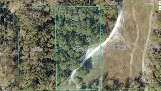 33099 Coral Rock DR, Webster, FL 33597