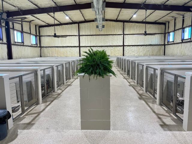 14981 W Highway 22, Blooming Grove, TX 76626