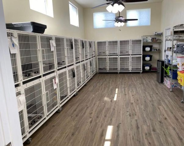 14981 W Highway 22, Blooming Grove, TX 76626