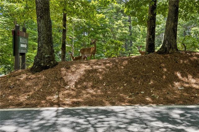 208 Trout Lily Trail, Jasper, GA 30143