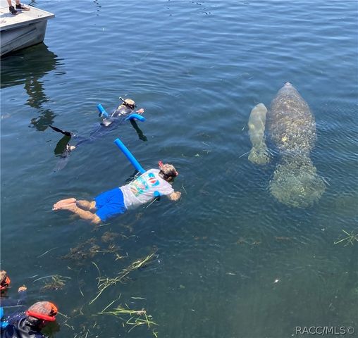 1504 N Foxboro Loop, Crystal River, FL 34429