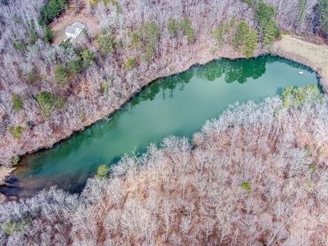 0 Williams TRACT D Lane, Ball Ground, GA 30107