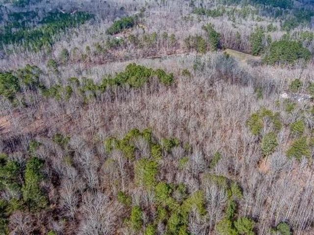 0 Williams TRACT D Lane, Ball Ground, GA 30107