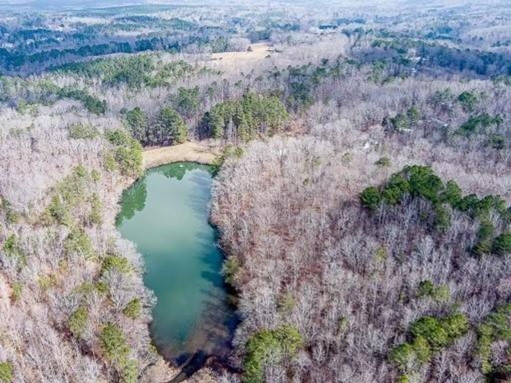 0 Williams TRACT D Lane, Ball Ground, GA 30107