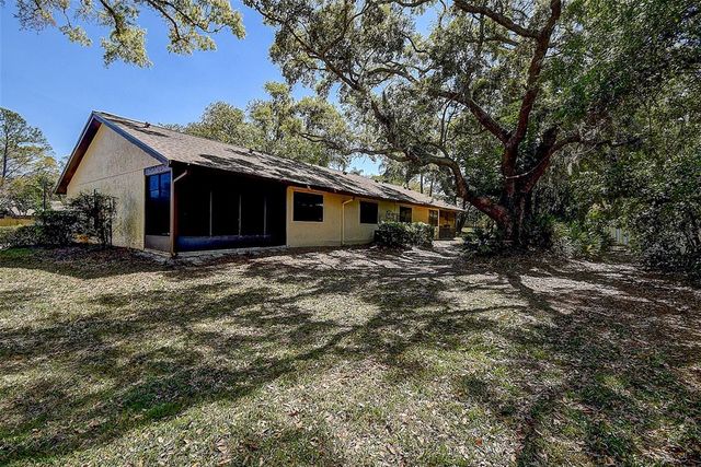 4031 BLUFF OAK COURT, Palm Harbor, FL 34684