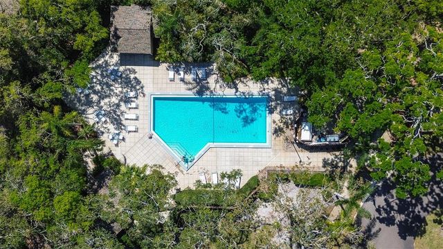 4031 BLUFF OAK COURT, Palm Harbor, FL 34684