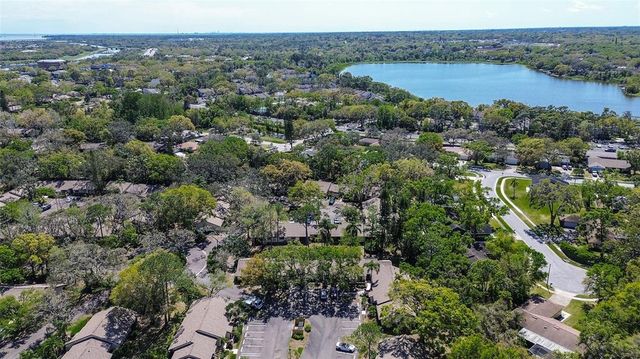 4031 BLUFF OAK COURT, Palm Harbor, FL 34684