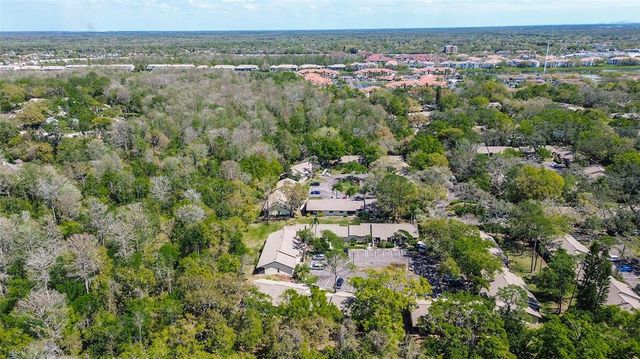 4031 BLUFF OAK COURT, Palm Harbor, FL 34684