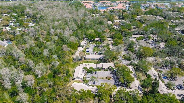 4031 BLUFF OAK COURT, Palm Harbor, FL 34684