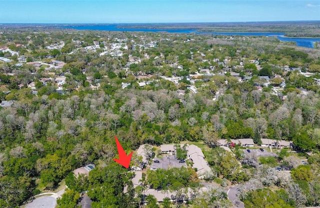 4031 BLUFF OAK COURT, Palm Harbor, FL 34684