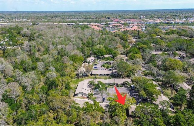 4031 BLUFF OAK COURT, Palm Harbor, FL 34684
